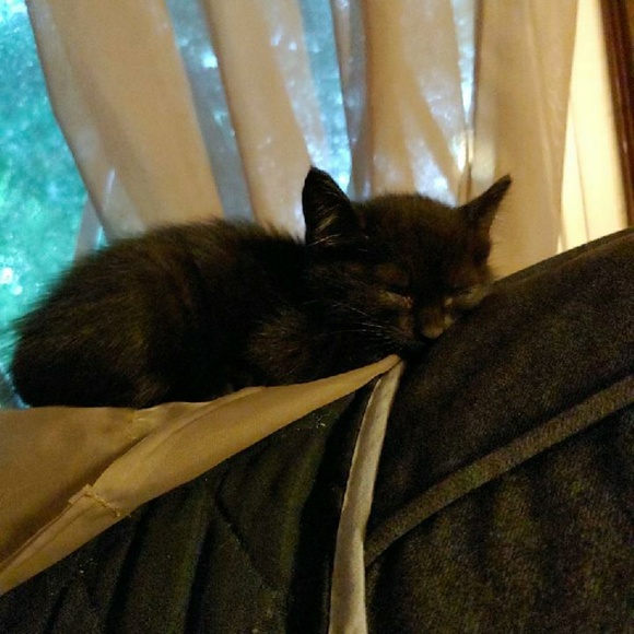 Meet your Posher, Rebekah - Picture 1 of 1